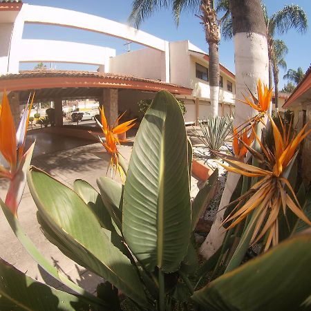 Auto Hotel Niza Tlaquepaque Exteriör bild