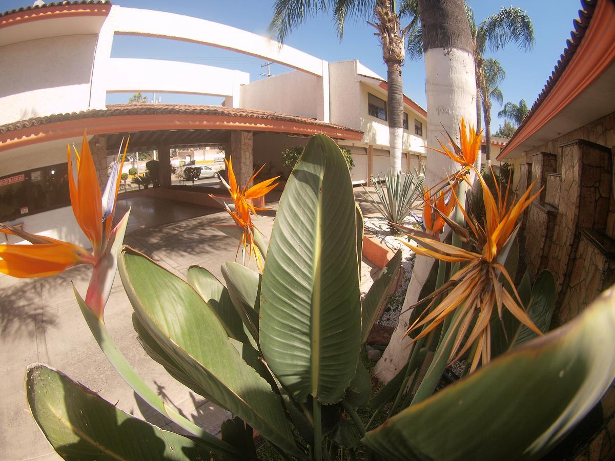 Auto Hotel Niza Tlaquepaque Exteriör bild